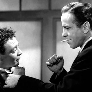 Foto El halcón maltés