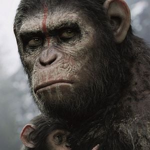 Foto El amanecer del planeta de los simios