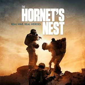 Foto The Hornet's Nest
