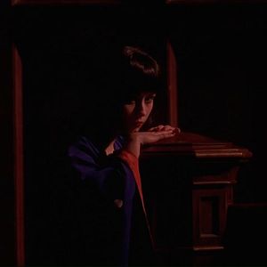 Foto Piernas de terciopelo