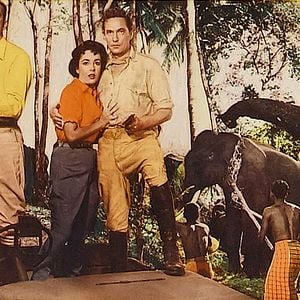 Foto La senda de los elefantes