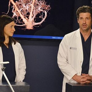 Foto Anatomía de Grey