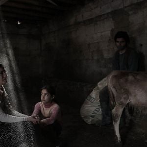 Foto Cennetten Kovulmak