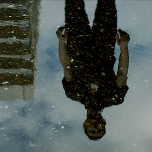 Foto Snow in Paradise