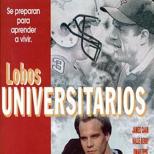 Foto Lobos universitarios