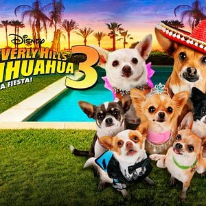 Foto Un chihuahua en Beverly Hills 3: ¡Viva La Fiesta!