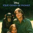 Foto ¡Qué genio de mono!