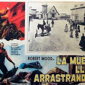 Foto La muerte llega arrastrándose