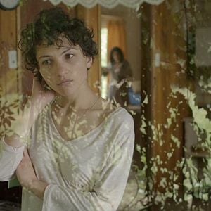 Foto El árbol magnético