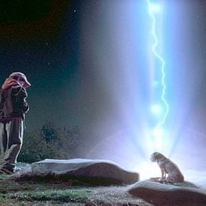 Foto Un perro de otro mundo