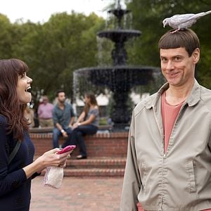 Foto Dos tontos todavía más tontos