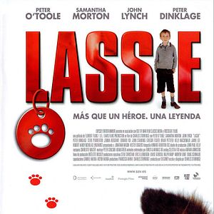 Foto Lassie