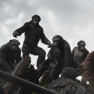 Foto El amanecer del planeta de los simios