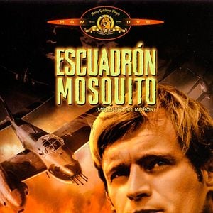 Foto Escuadrón Mosquito