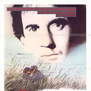 Foto La comida del labrador