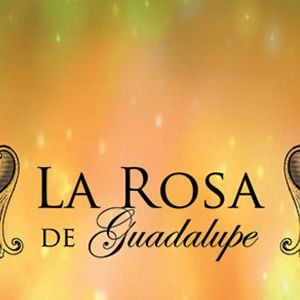 Foto La rosa de Guadalupe