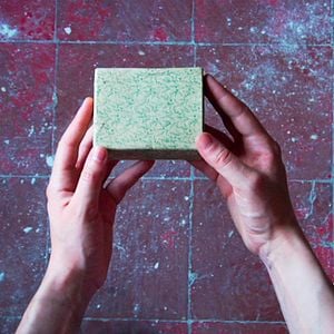 Foto La jungla interior