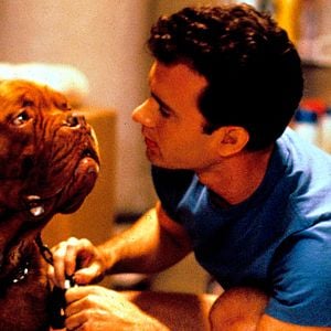 Foto Socios y sabuesos