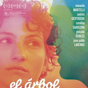 Foto El árbol magnético