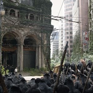 Foto El amanecer del planeta de los simios