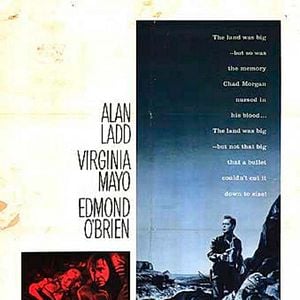 Foto Grandes horizontes