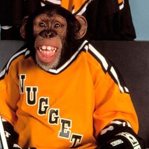 Foto ¡Cómo mola ser mono!