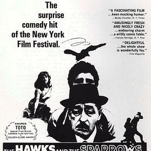 Foto Pajaritos y pajarracos