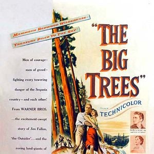 Foto La ley de la fuerza (Los gigantes del bosque)