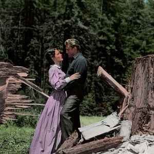 Foto La ley de la fuerza (Los gigantes del bosque)