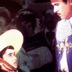 Foto El Caballo blanco