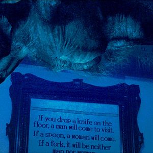 Foto The Last Will and Testament of Rosalind Leigh