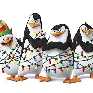 Foto Los pingüinos de Madagascar