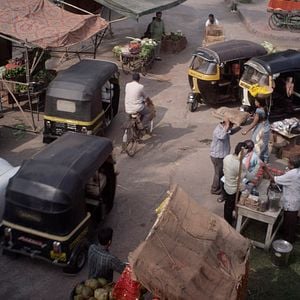 Foto Rastros de sándalo