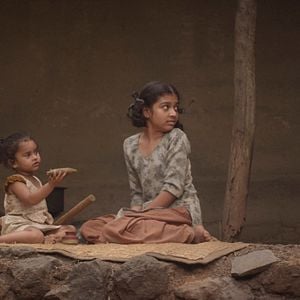 Foto Rastros de sándalo