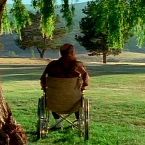 Foto Las verjas del cielo