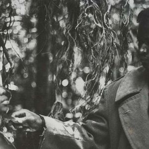 Foto The Kitchen Toto