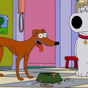 Foto Padre de familia