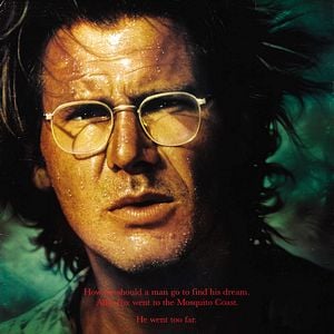 Foto La costa de los mosquitos