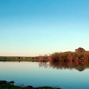 Foto Carta a un padre