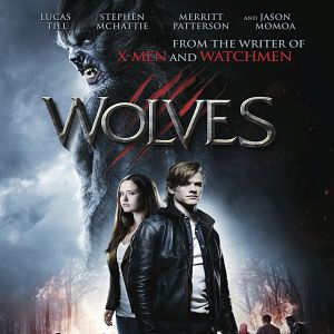 Foto Wolves