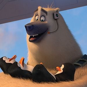 Foto Los pingüinos de Madagascar