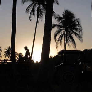 Foto Vientos de Agosto