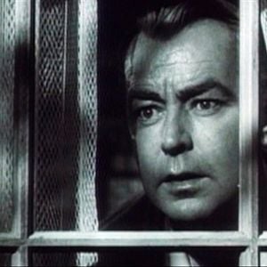 Foto Un hombre en la red