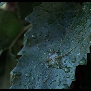 Foto La invasión de los ultracuerpos