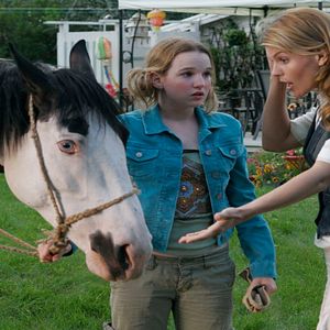 Foto La leyenda de Moondance Alexander