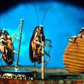 Foto El cuchitril de Joe