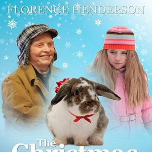 Foto Un hogar para Julia