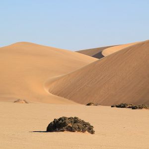 Foto African Safari 3D