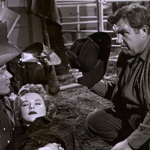 Foto Under California Stars