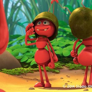 Foto La abeja Maya. La película